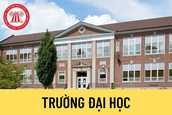 Trường đại học