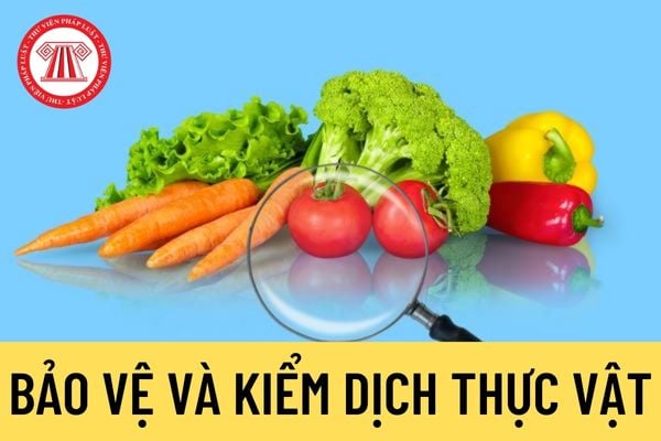 Bảo vệ và kiểm dịch thực vật