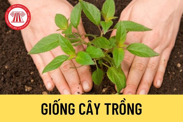 Giống cây trồng