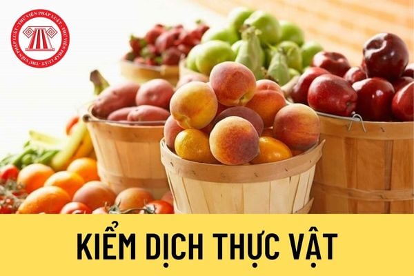 Kiểm dịch thực vật