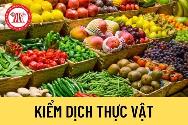 Kiểm dịch thực vật