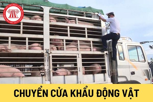 Chuyển cửa khẩu động vật