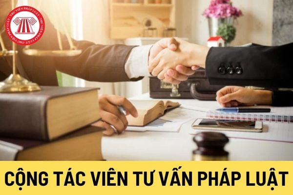 Cộng tác viên tư vấn pháp luật