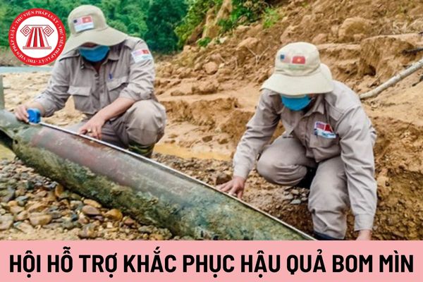 Hội Hỗ trợ khắc phục hậu quả bom mìn Việt Nam