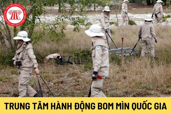 Trung tâm Hành động bom mìn quốc gia Việt Nam