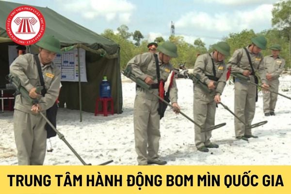 Trung tâm Hành động bom mìn quốc gia Việt Nam