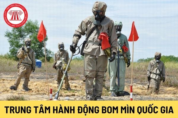 Trung tâm Hành động bom mìn quốc gia Việt Nam