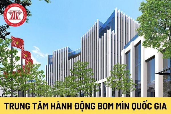 Trung tâm Hành động bom mìn quốc gia Việt Nam