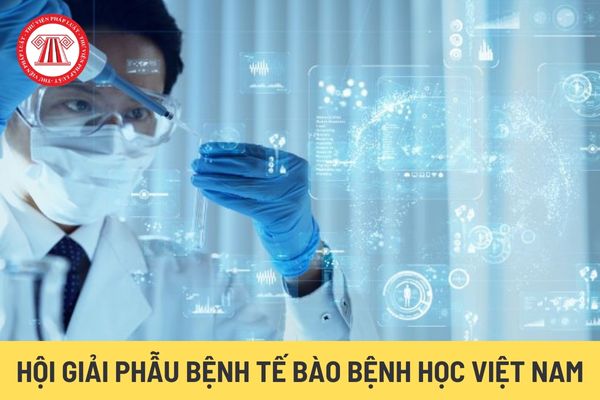 Hội Giải phẫu bệnh Tế bào bệnh học Việt Nam