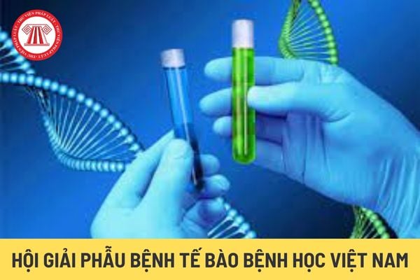 Hội Giải phẫu bệnh Tế bào bệnh học Việt Nam