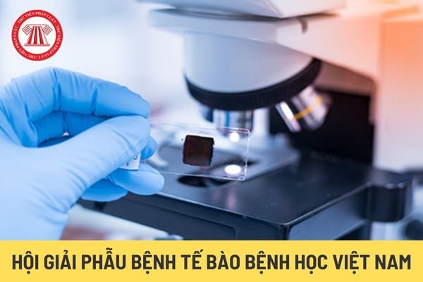 Hội Giải phẫu bệnh Tế bào bệnh học Việt Nam