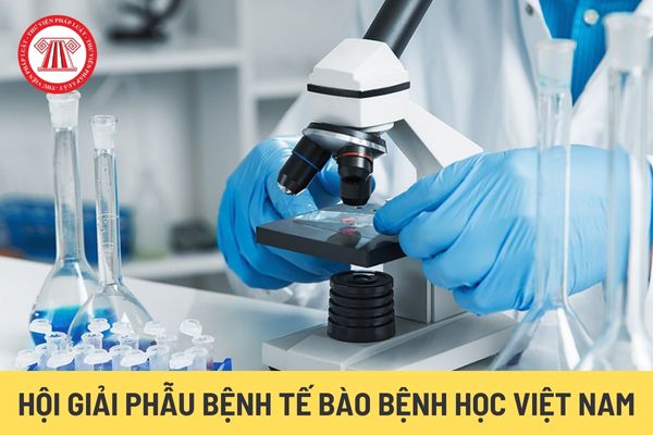 Hội Giải phẫu bệnh Tế bào bệnh học Việt Nam