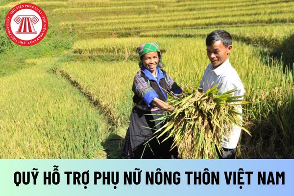 Quỹ Hỗ trợ Phụ nữ nông thôn Việt Nam (Hình từ Internet)
