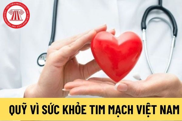 Quỹ Vì sức khỏe tim mạch Việt Nam (Hình từ Internet)