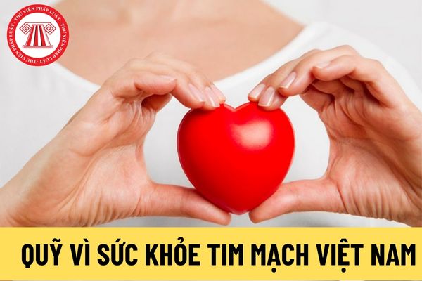 Quỹ Vì sức khỏe tim mạch Việt Nam (Hình từ Internet)