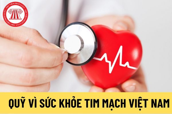 Quỹ Vì sức khỏe tim mạch Việt Nam (Hình từ Internet)