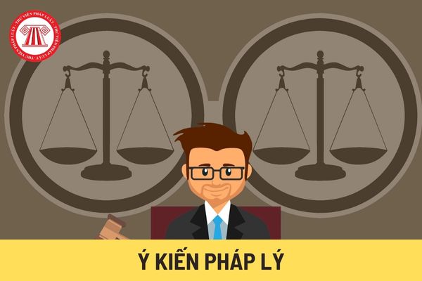 Ý kiến pháp lý