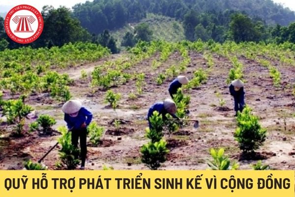 Quỹ Hỗ trợ phát triển sinh kế vì cộng đồng (Hình từ Internet)