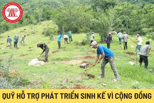 Quỹ Hỗ trợ phát triển sinh kế vì cộng đồng (Hình từ Internet)