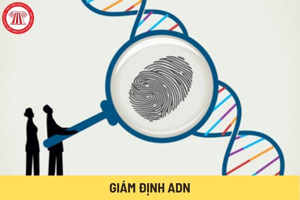 Giám định ADN