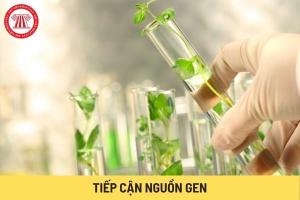 tiếp cận nguồn gen