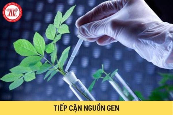 Tiếp cận nguồn gen