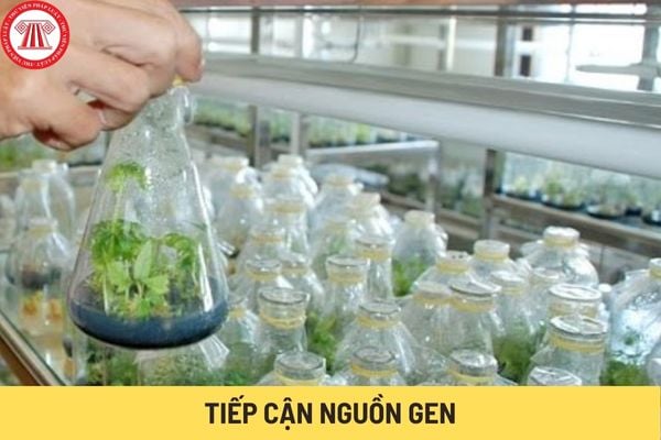 tiếp cận nguồn gen