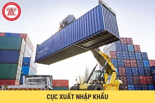 Cục Xuất nhập khẩu (Hình từ Internet)