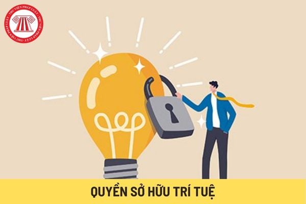 Quyền sở hữu trí tuệ