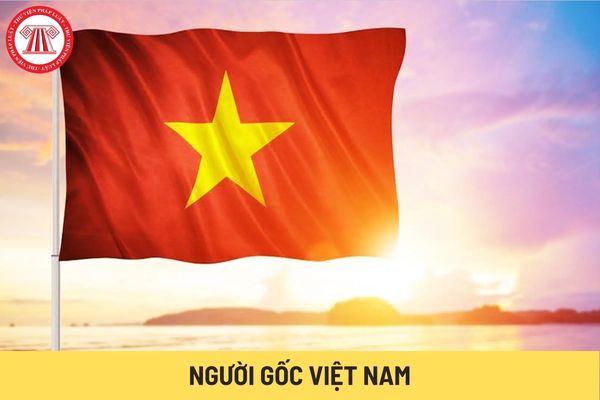 Người gốc Việt Nam