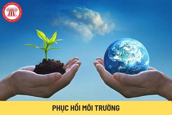 Cải tạo môi trường