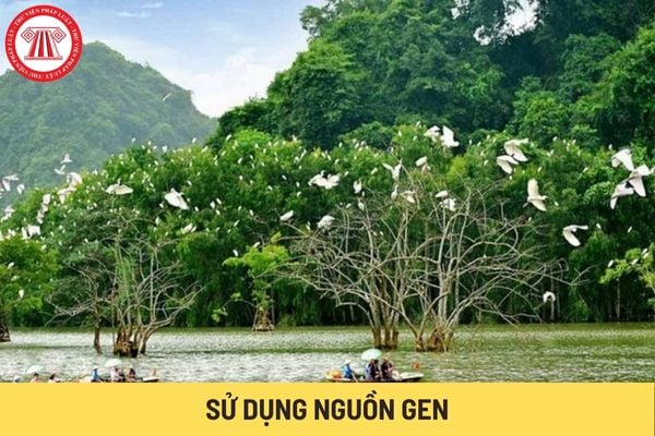 Sử dụng nguồn gen