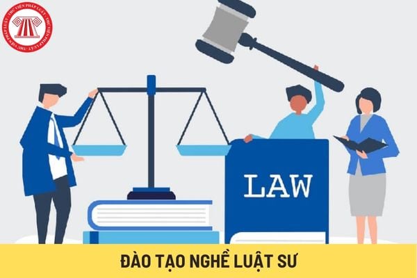 Đào tạo nghề luật sư