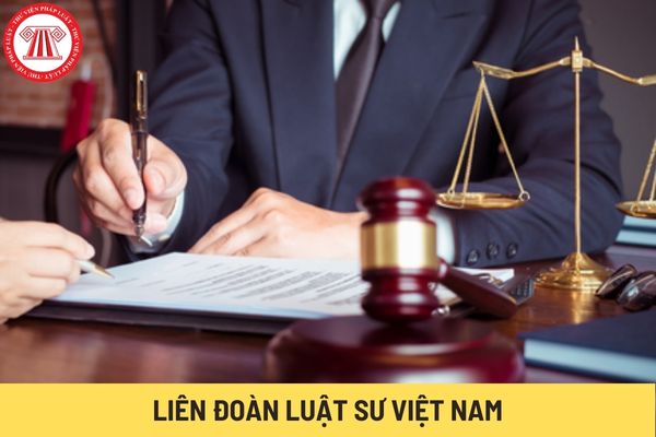 Liên đoàn luật sư Việt Nam (Hình từ Internet)