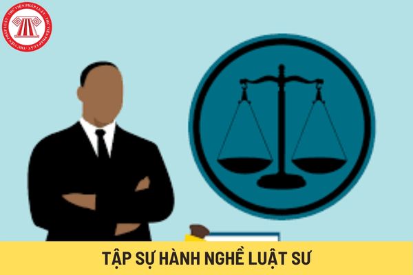Tập sự hành nghề luật sư (Hình từ Internet)