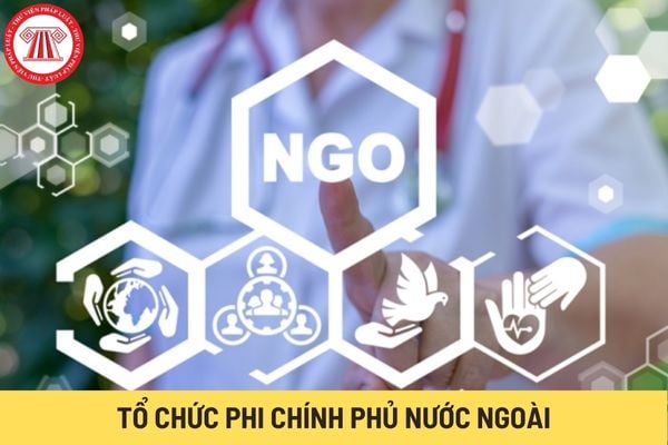 Tổ chức phi chính phủ nước ngoài (Hình từ Internet)