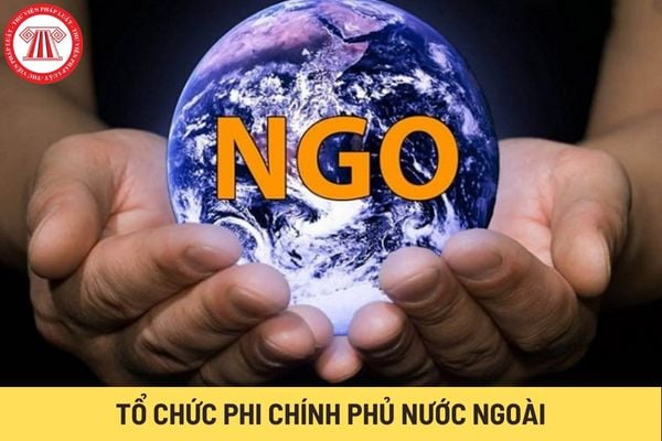 Tổ chức phi chính phủ nước ngoài (Hình từ Internet)