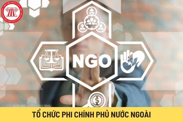 Tổ chức phi chính phủ nước ngoài (Hình từ Internet)