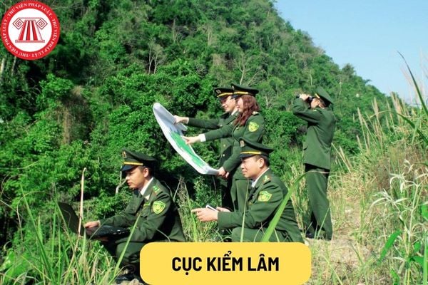 Cục Kiểm lâm