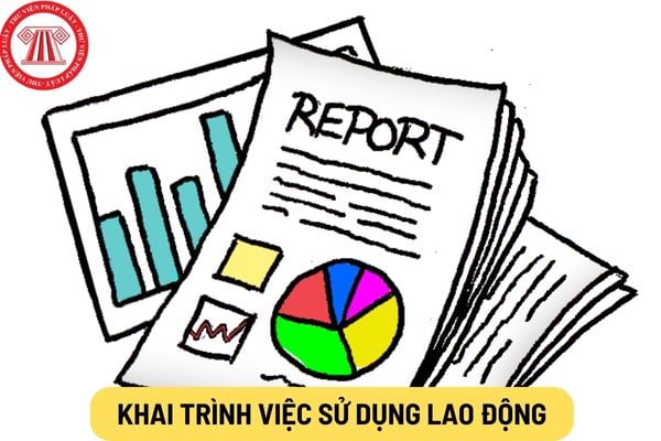 Khai trình việc sử dụng lao động