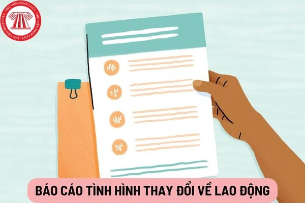 Báo cáo tình hình thay đổi về lao động