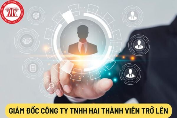 Giám đốc công ty TNHH hai thành viên trở lên