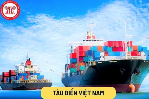 Tàu biển Việt Nam