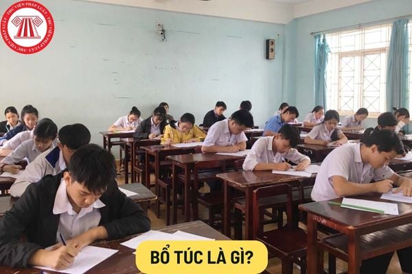 Bổ túc là gì