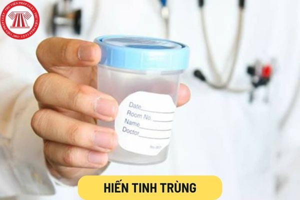 Hiến tinh trùng