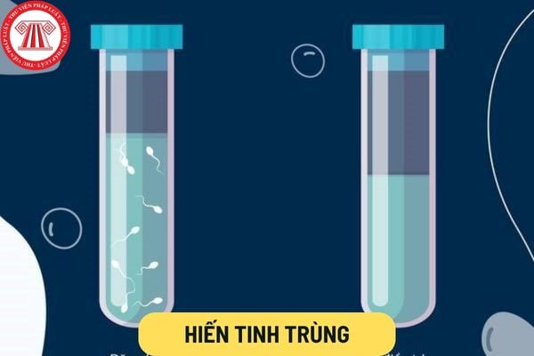 Hiến tinh trùng