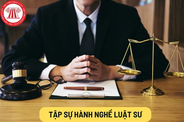 Tập sự hành nghề luật sư