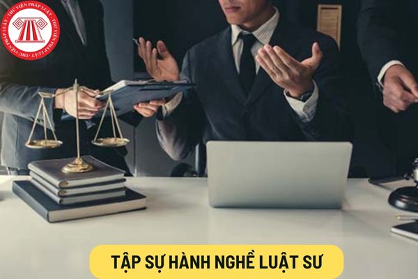 Tập sự hành nghề luật sư