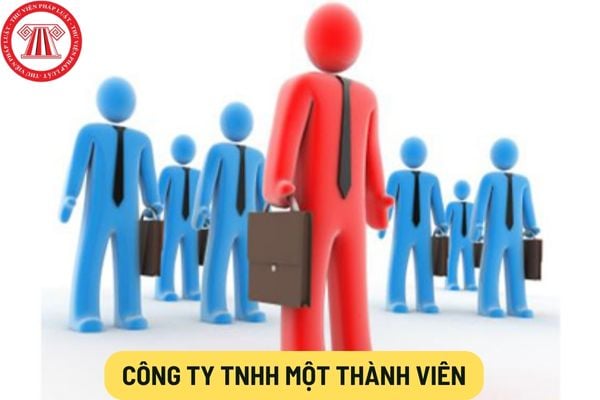 Công ty TNHH một thành viên