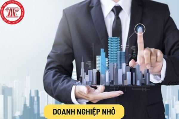 Doanh nghiệp nhỏ